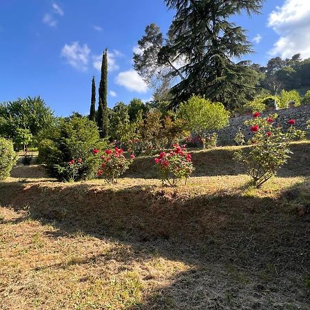 Borgo Al Canto Degli Alberi Lucca Exterior photo