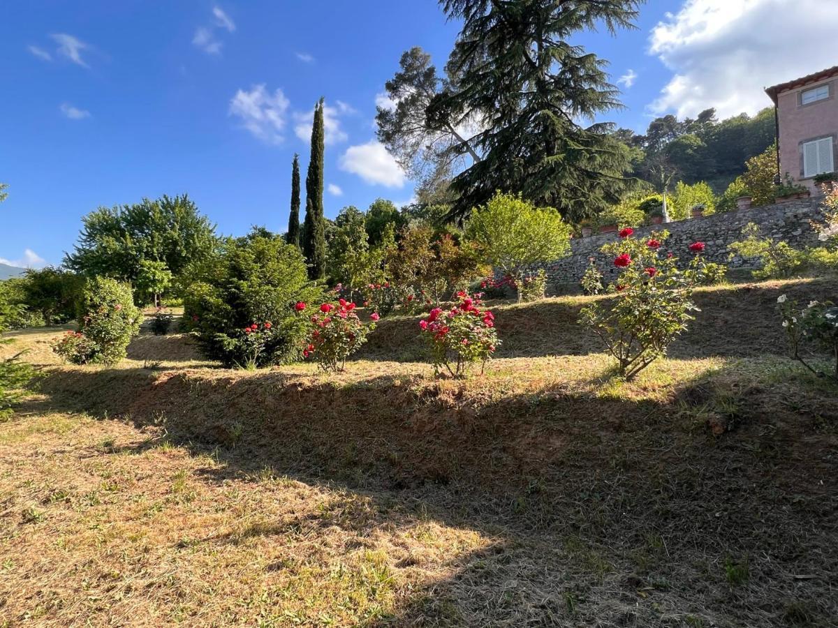 Borgo Al Canto Degli Alberi Lucca Exterior photo